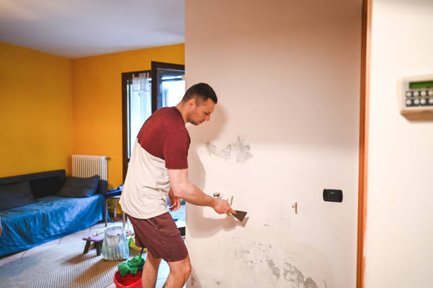 Best Residential Mold Remediation in Fox Chapel, PA
